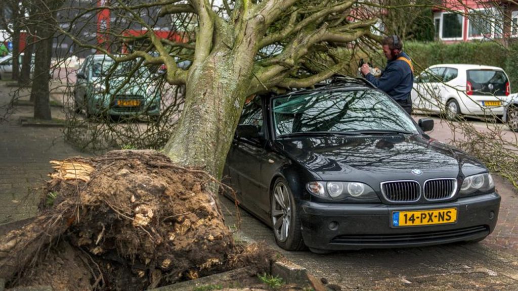 İngiltere’de fırtınaların tahmini sigorta hasarı 363 milyon poundu aştı