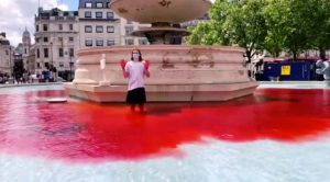 Londra’da hayvan hakları savunucuları havuzlara kırmızı boya döktü