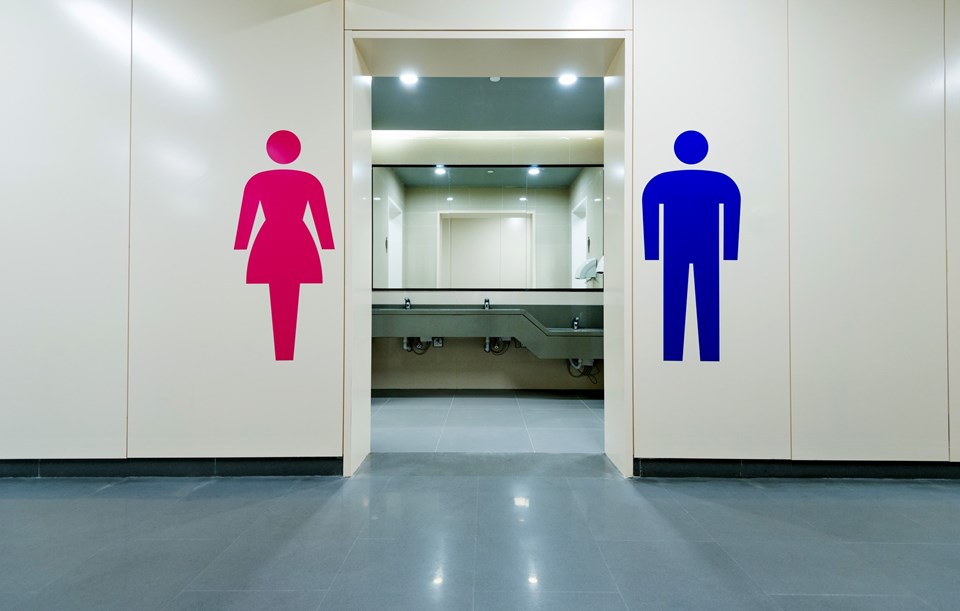 İngiliz bilim insanları: İkinci dalga umumi tuvaletlerden gelecek