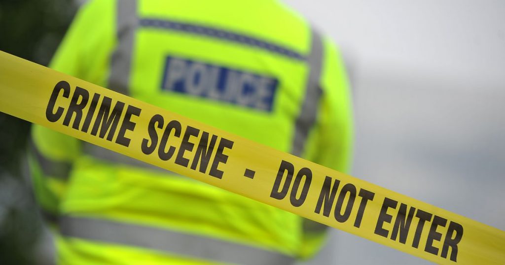Two teenagers arrested following Haringey stabbing