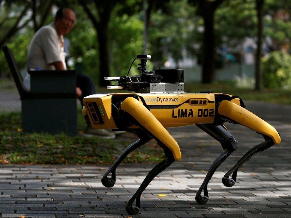 Boston Dynamics, kuş robotlarıyla lojistik sektörüne adım atıyor