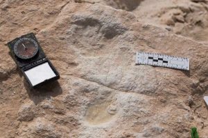 120 bin yıllık ayak izi keşfedildi