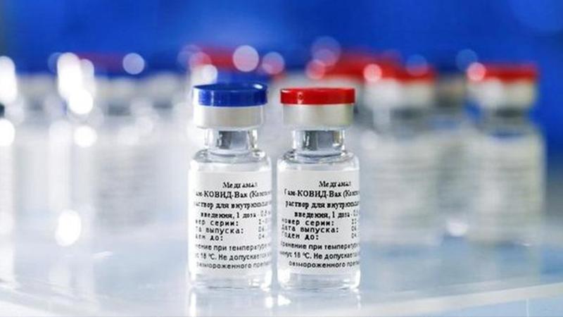 Rusya’nın geliştirdiği ikinci koronavirüs aşısı kasımda piyasaya sürülecek