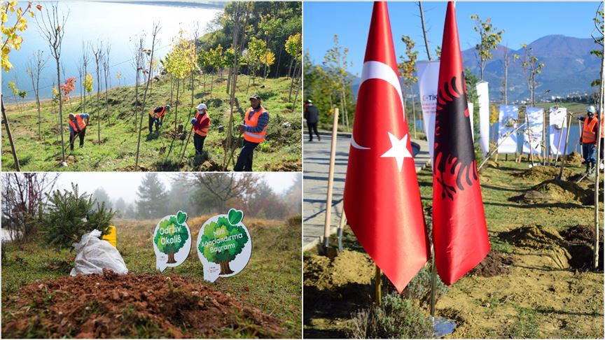 KKTC, Azerbaycan, Bosna Hersek ve Arnavutluk’ta binlerce fidan toprakla buluştu