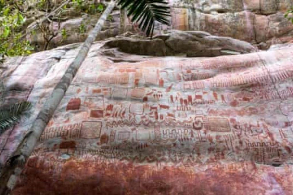 Amazon ormanlarında 12.500 yıllık çizimler bulundu