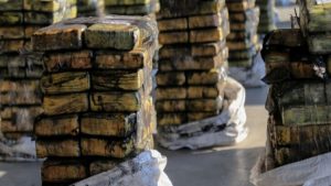 Belçika’da 11,5 ton kokain ele geçirildi