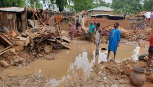 Nijerya’da 9,8 milyon kişi açlık tehlikesi altında