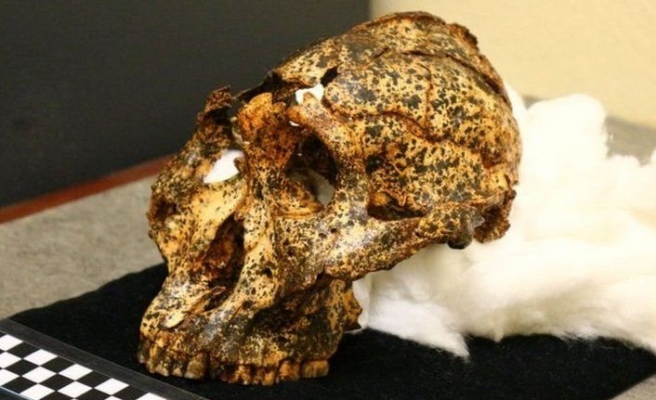 Güney Afrika’da 2 milyon yıllık insansı kafatası bulundu