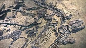 Arjantin’de 70 milyon yıllık dinozor kalıntıları bulundu