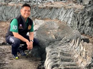 Tayland’da 12 metre uzunluğunda 5 bin yıllık balina iskeleti bulundu