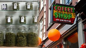 Amsterdam Belediyesi esrar satan kafelere yabancı turistlerin girişini yasaklamaya hazırlanıyor