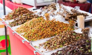 Avrupa Gıda Güvenliği Kurumu: “Böcekler yenebilir”