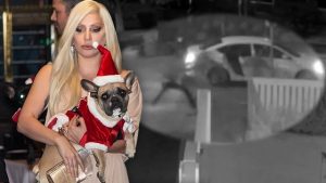 Lady Gaga’nın silahlı kişiler tarafından kaçırılan köpeği bulundu