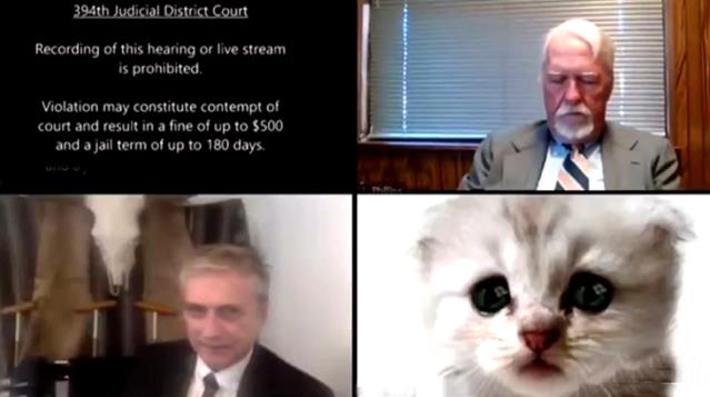 Yanlışlıkla açtığı filtreyi kapatamayan avukat, duruşmaya ‘kedi’ olarak katıldı