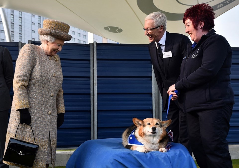 Morali bozulan Kraliçe II. Elizabeth’e iki yavru köpek hediye edildi