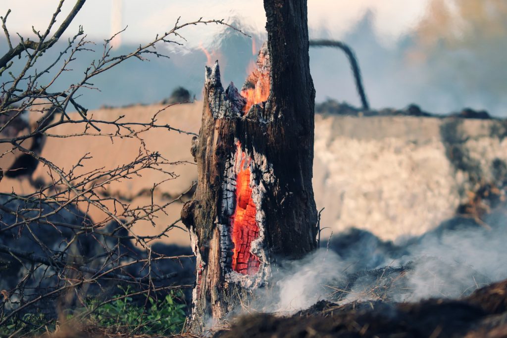 İspanya’da gönüllü itfaiyeci, 1,4 kilometrekare ormanlık alanı ‘egosu için’ yaktı