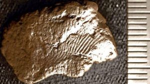 Beş bin yıllık çömlekte parmak izi bulundu
