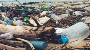 Greenpeace’den çarpıcı plastik atık raporu