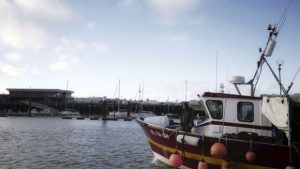 AB ve İngiltere 2021 balıkçılık kotalarında anlaştı