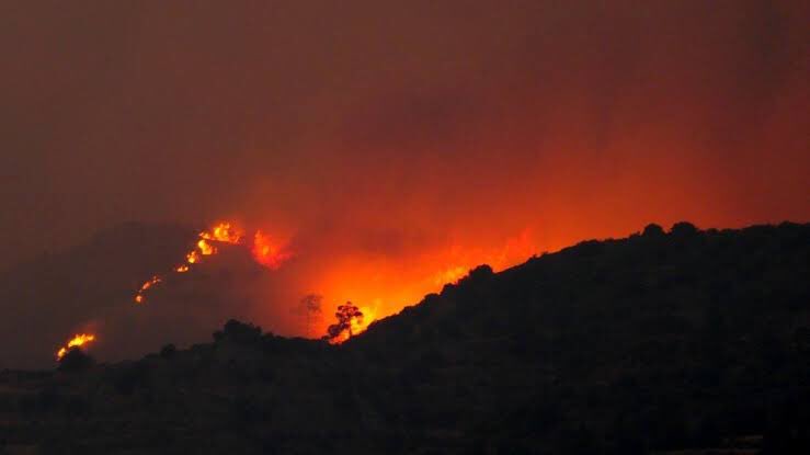 Huge wildfire rips through forest in South Cyprus