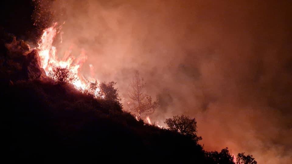Güney Kıbrıs’taki yangın ölüme neden oldu, acil durum ilan edildi