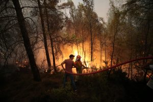 More than 120 wildfires sweep across Turkey as 8 deaths reported