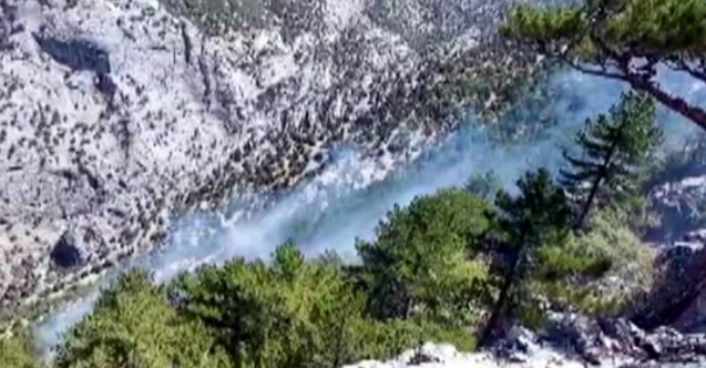 Turkiye’de yangın söndürme uçağı düştü