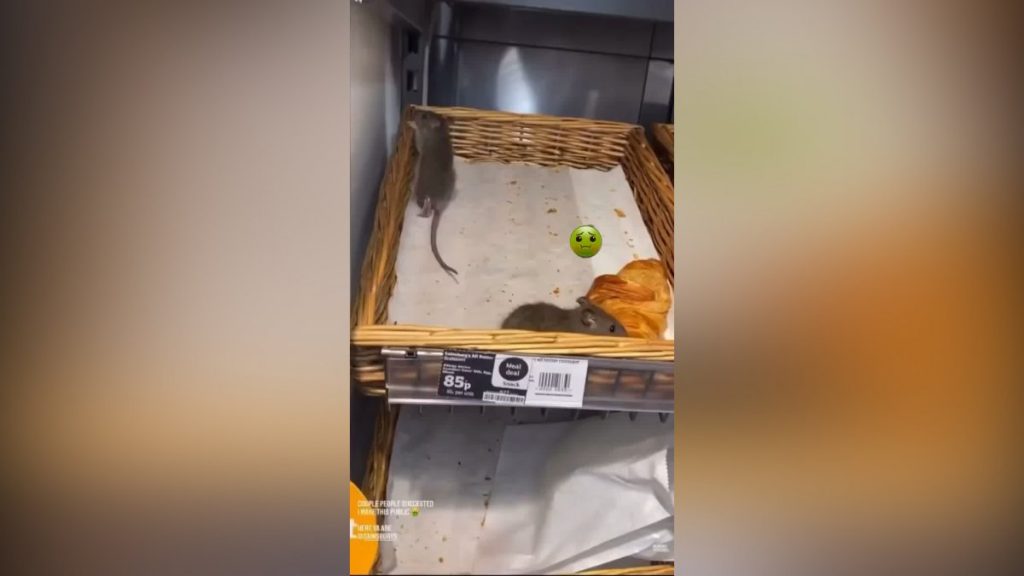 İngiltere’de market zincirini fareler istila etti