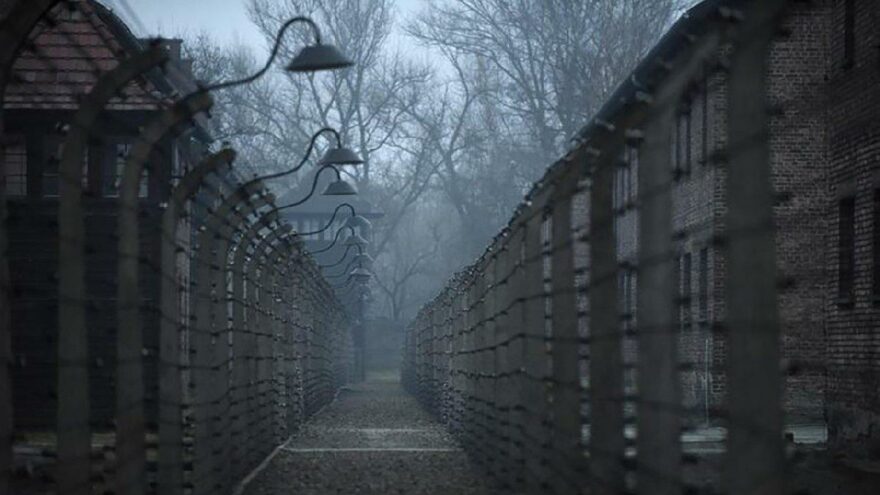 11 bin kişinin ölümünde parmağı olduğu iddia edilen Nazi sekreteri serbest