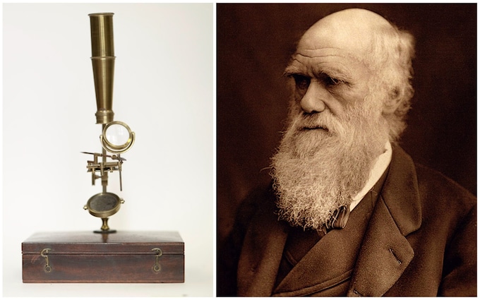 Charles Darwin’in mikroskobu açık artırmada