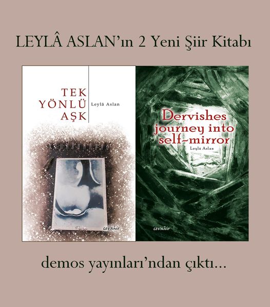 Leyla Aslan published new book ‘Tek Yönlü Aşk’