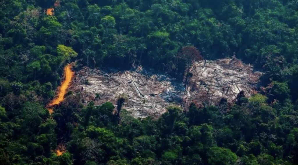 Dünya liderlerinden ormansızlaşmaya 2030’da son verme taahhüdü