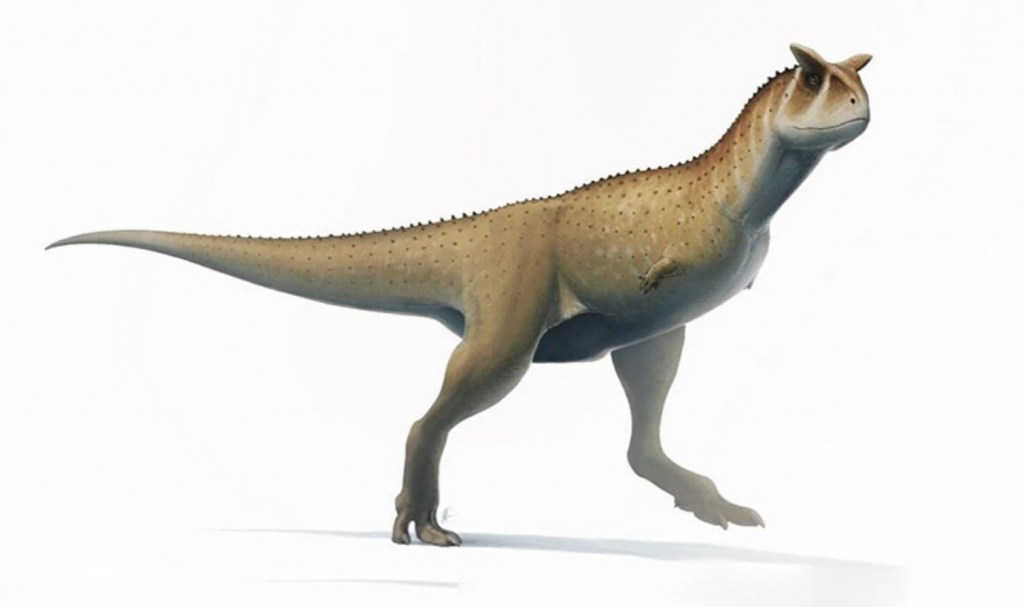 Arjantin’de kolsuz dinozor türü keşfedildi
