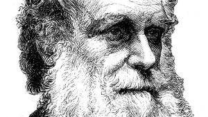 Charles Darwin, Scot’un evrimle ilgili çalışmasını çaldı iddiası: Tarihin en büyük sahtekarlığı