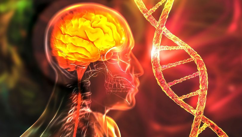 Alzheimer’la bağlantılı 42 yeni gen tespit edildi