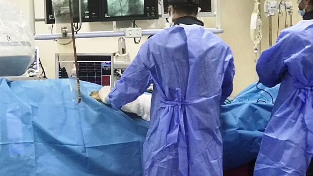 Tıp tarihinde bir ilk: Bir hastaya ineğin kalp kapakçıkları nakledildi