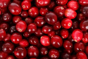 Study claims a bowl of cranberries each day could improve memory