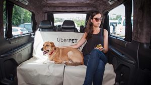 İngiltere’de Uber yolcuları evcil hayvanlarıyla seyahat edebilecek