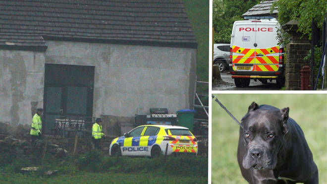 İngiltere’de bir çocuğun ölümüne yol açan köpeğin sahibi gözaltına alındı