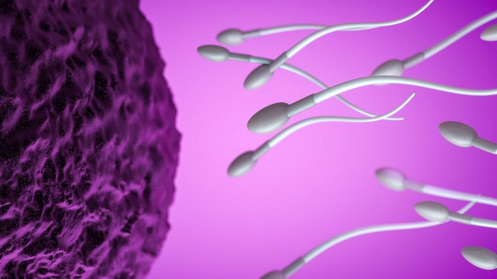 İngiltere’de sperm kıtlığı: Yurtdışından sperm ithal etmeye başlandı
