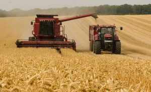 Ukrayna’dan dünyayı endişelendiren tahıl açıklaması