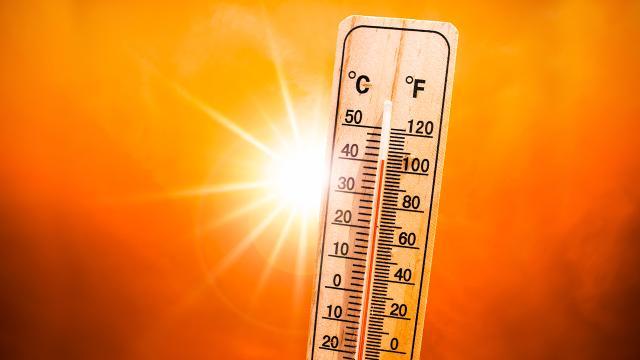 İngiltere’de kırmızı alarm: Sıcaklık 40 dereceyi aşabilir