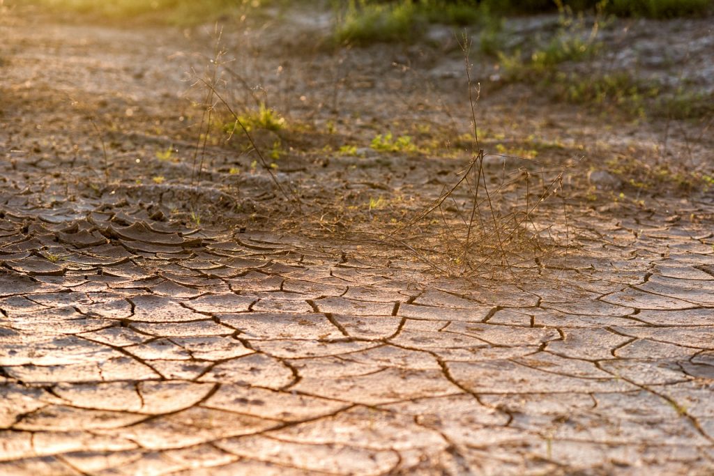 Large areas of England officially in drought