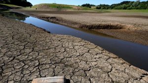 İngiltere’de kuraklık ilan edildi