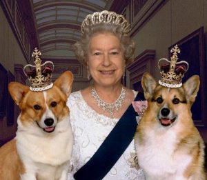Kraliçe 2. Elizabeth’in corgi’leri Prens Andrew ve Sarah Ferguson’a emanet