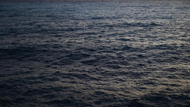 Bir annenin çocuklarını okyanusta boğduğu iddiası ediliyor