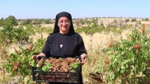 14 dil bilen, 22 kitap yazan Süryani rahibe Midyat’a döndü