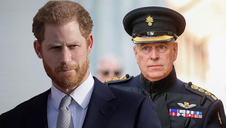 Prens Andrew ve Prens Harry, devlet işlerinden uzak tutulabilir
