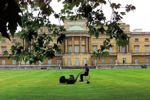 Kral III. Charles, Buckingham Sarayı için ‘bahçe müdürü’ arıyor