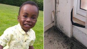 İngiltere’de 2 yaşındaki sığınmacı sosyal konuttaki küf yüzünden öldü